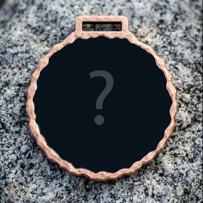 Vorschau: die neue Erdzwerge-Coin, noch ohne Motiv